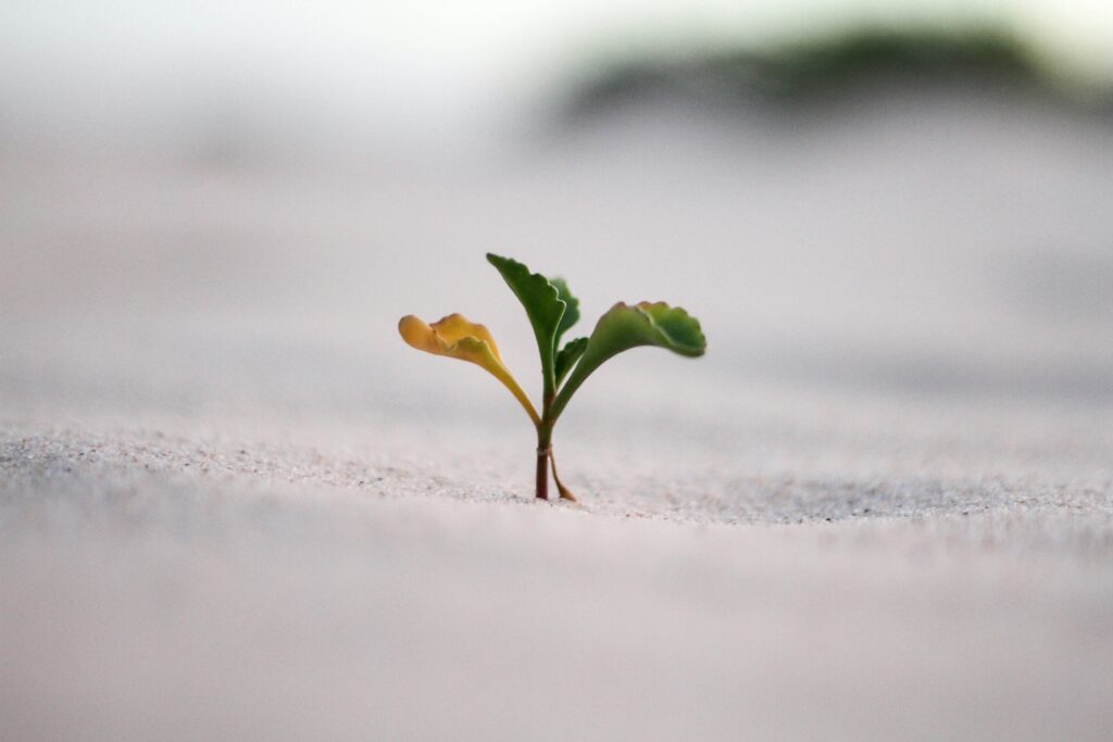 Brand Strategy Agency Edinburgh